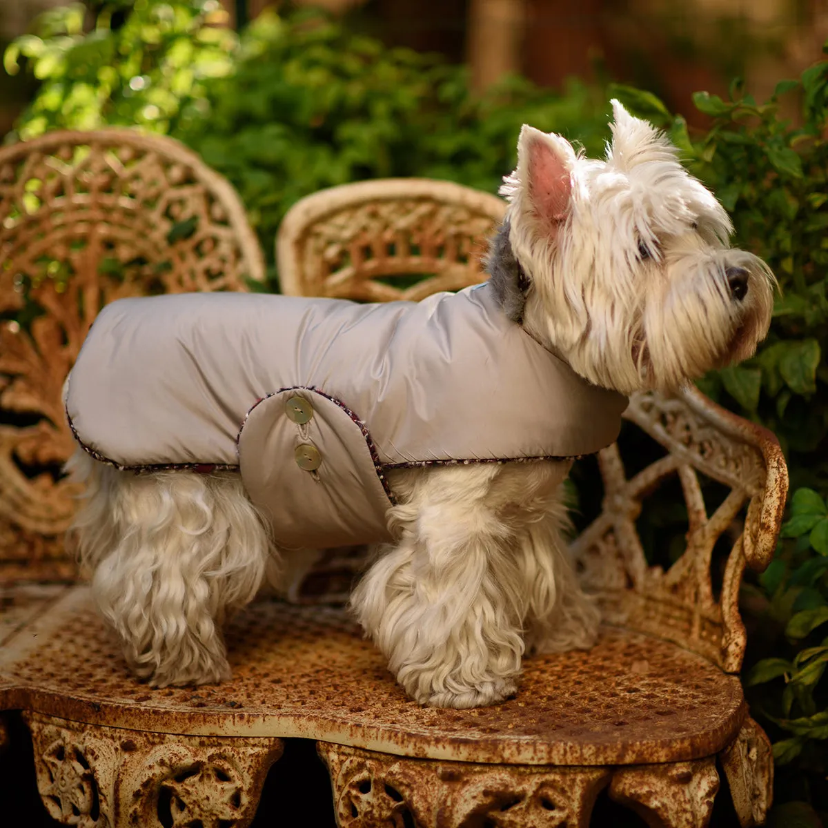 Bespoke Reversible Dog Coat/Raincoat Dark CC