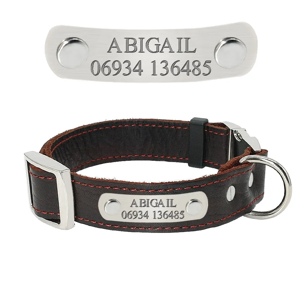 Customized Genuine Leather Dog Collar - Engrave Your Pet's ID