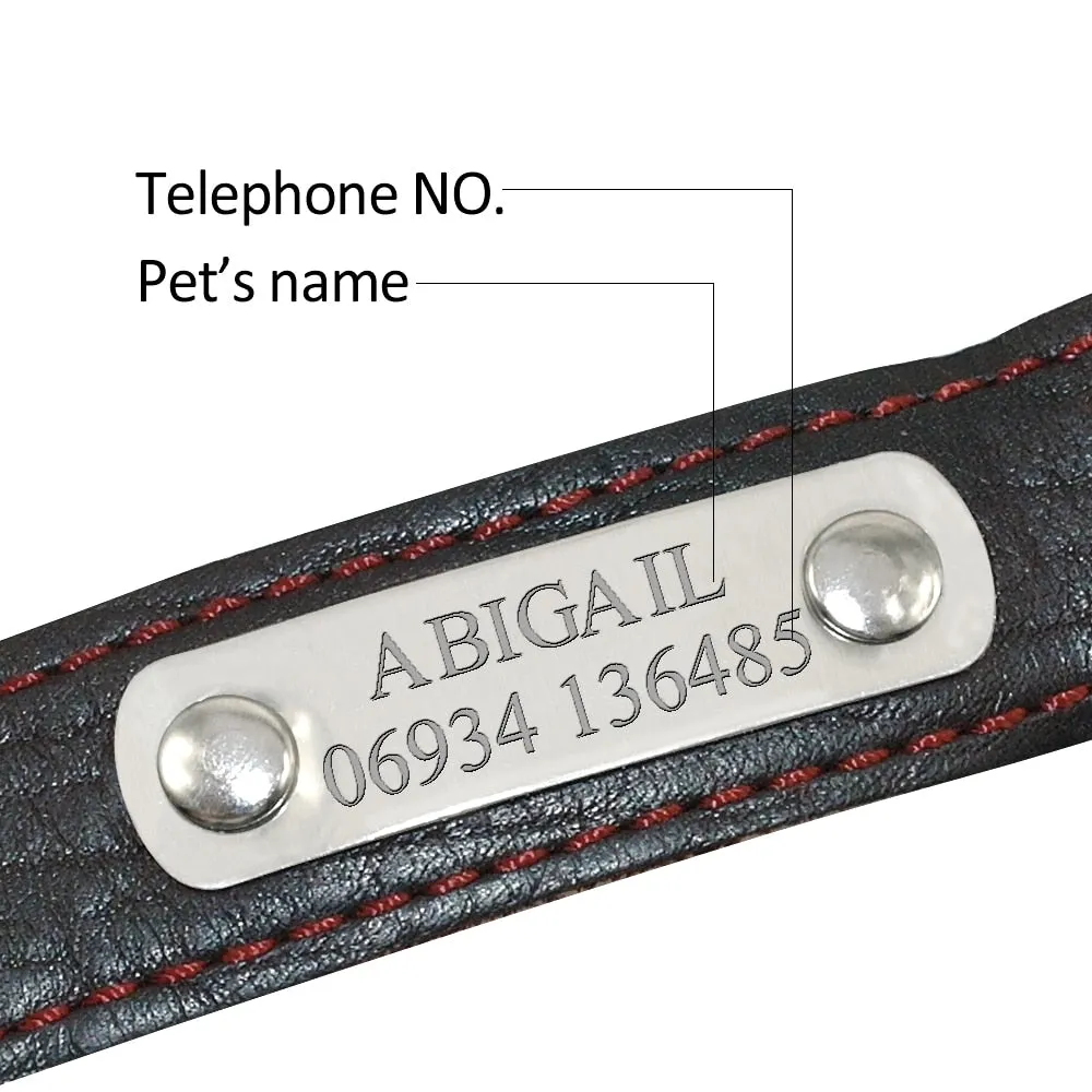 Customized Genuine Leather Dog Collar - Engrave Your Pet's ID